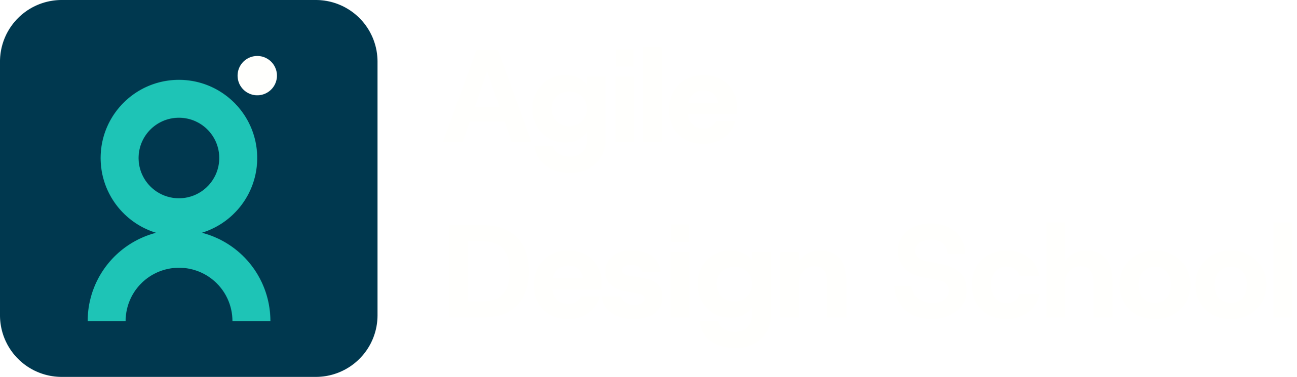 Agile Design School White logo